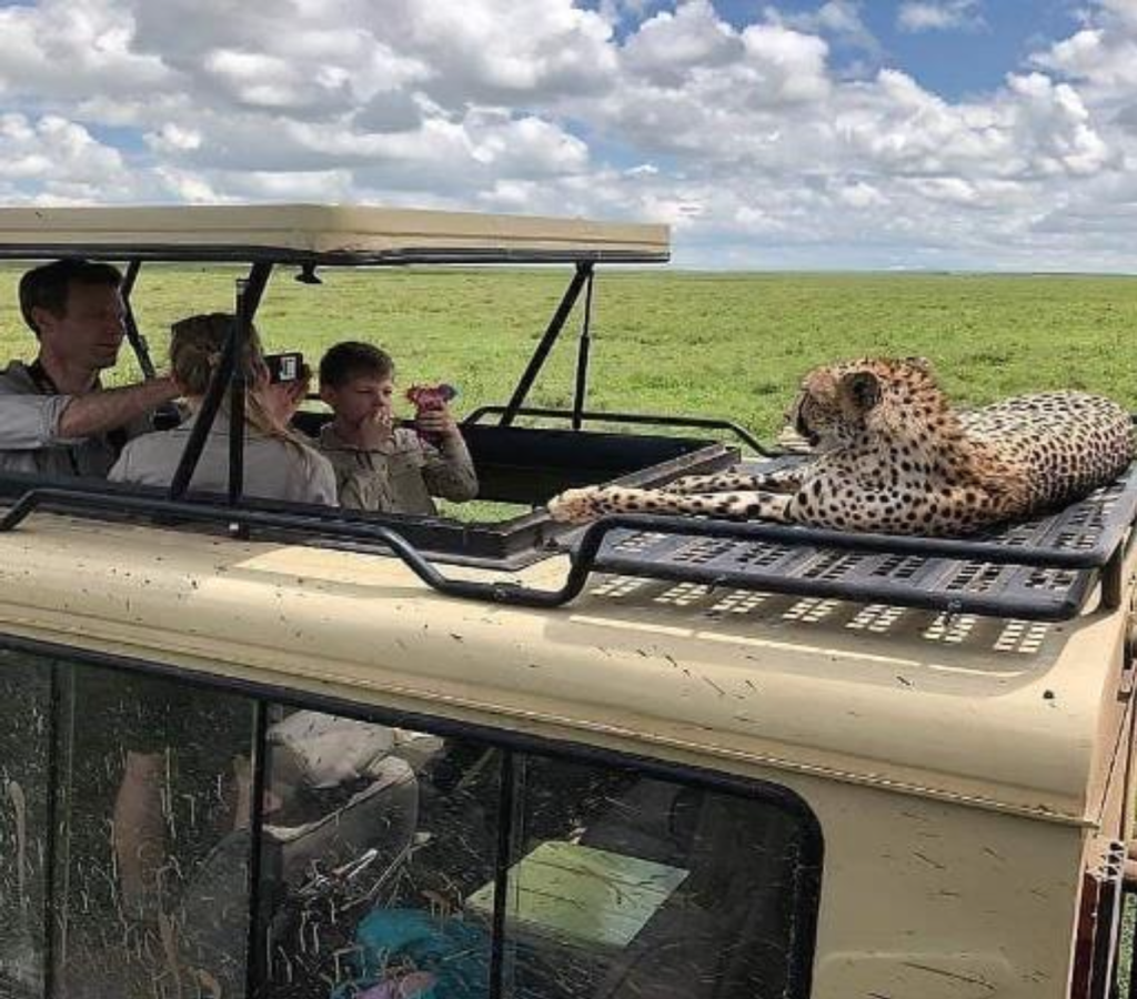 Serengeti